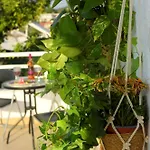 Holiday home Emerald Private In Rhodes *
